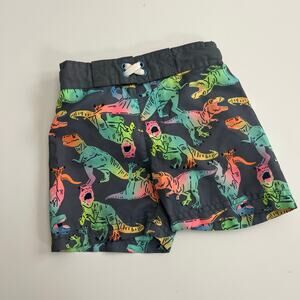 Cat & Jack rainbow dinosaur print gray swim trunks board shorts with liner
